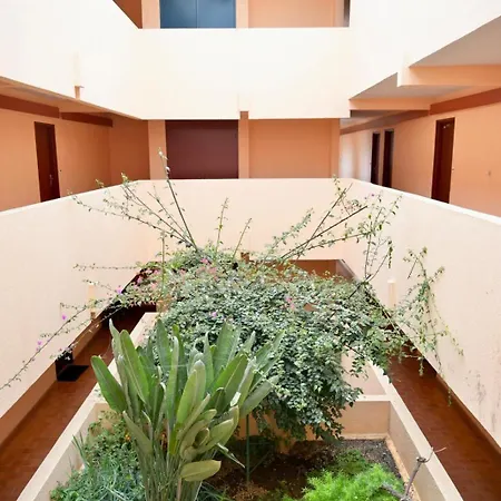 Coquet Grau Du Roi *